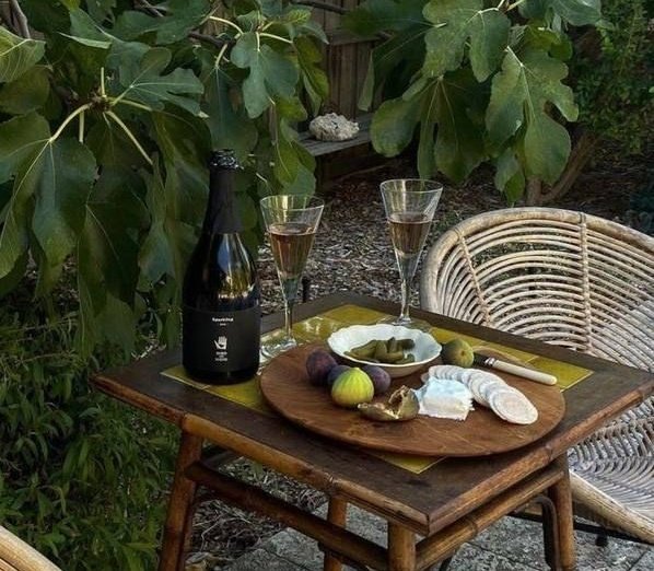 shewearprada's tweet photo. Summer breeze 🌿🍸☁️ https://t.co/e7KAhmWejw