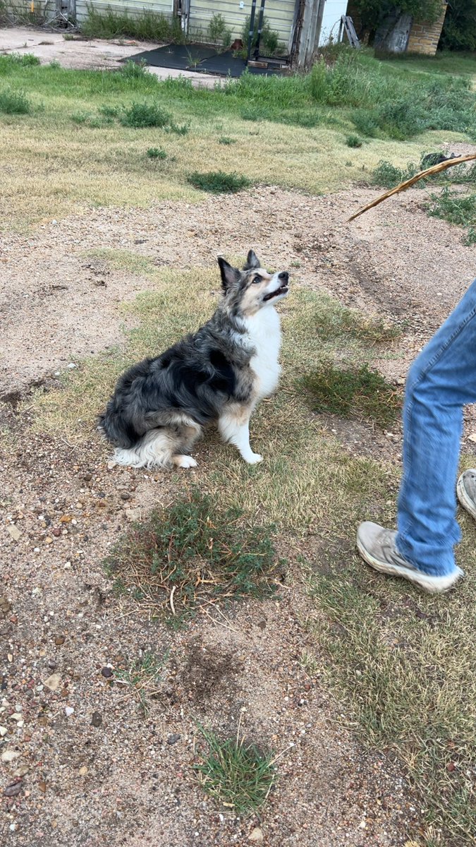 50countyneb's tweet photo. Made the trip to go see the queen herself yesterday. Suppose I had some good laughs with her dad too. https://t.co/mXXmlXotYO