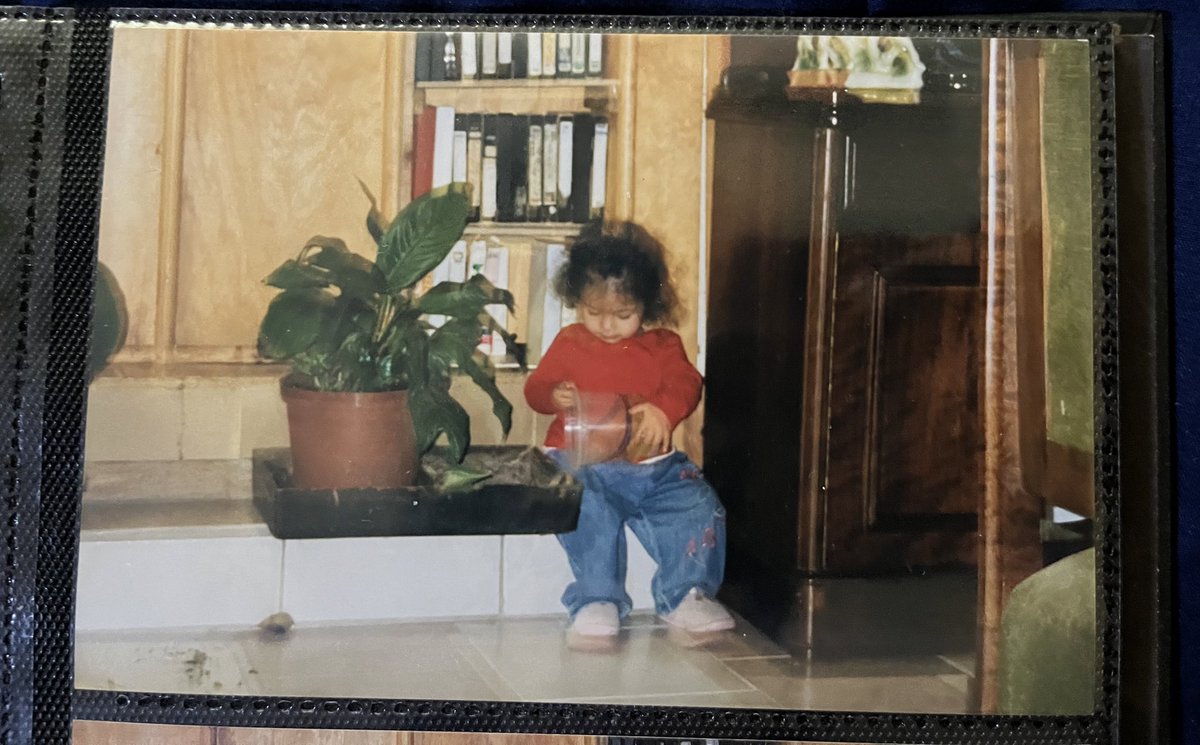 PurplefishTm's tweet photo. plant shawty for life https://t.co/6ZCHaE1JwN