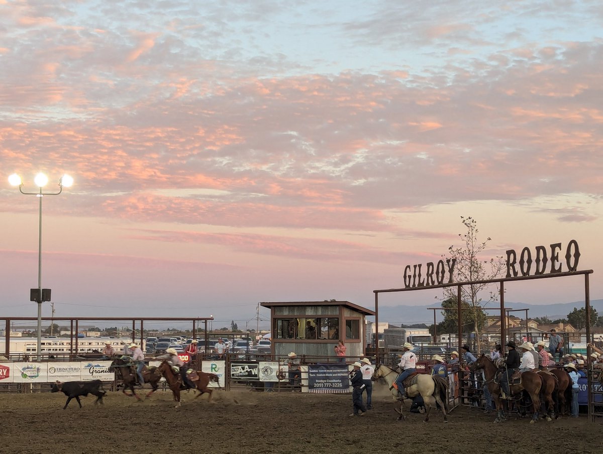 Had a great time at the #Gilroy #Rodeo. Truly impressive performances - cowboy 🤠 traditions alive and well