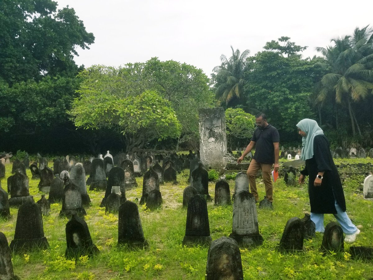 saalimmv tweet picture