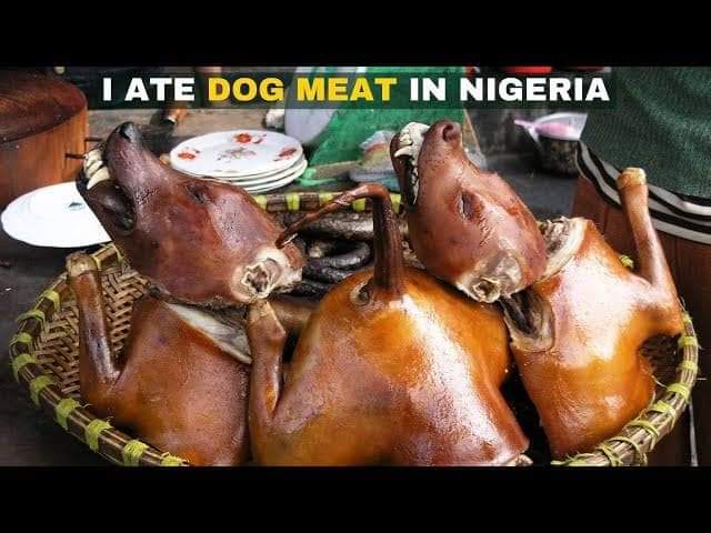 dastouter's tweet photo. @olokun147 @graffeetea @burnaboy You are what you eat https://t.co/EqHlqhYmeI