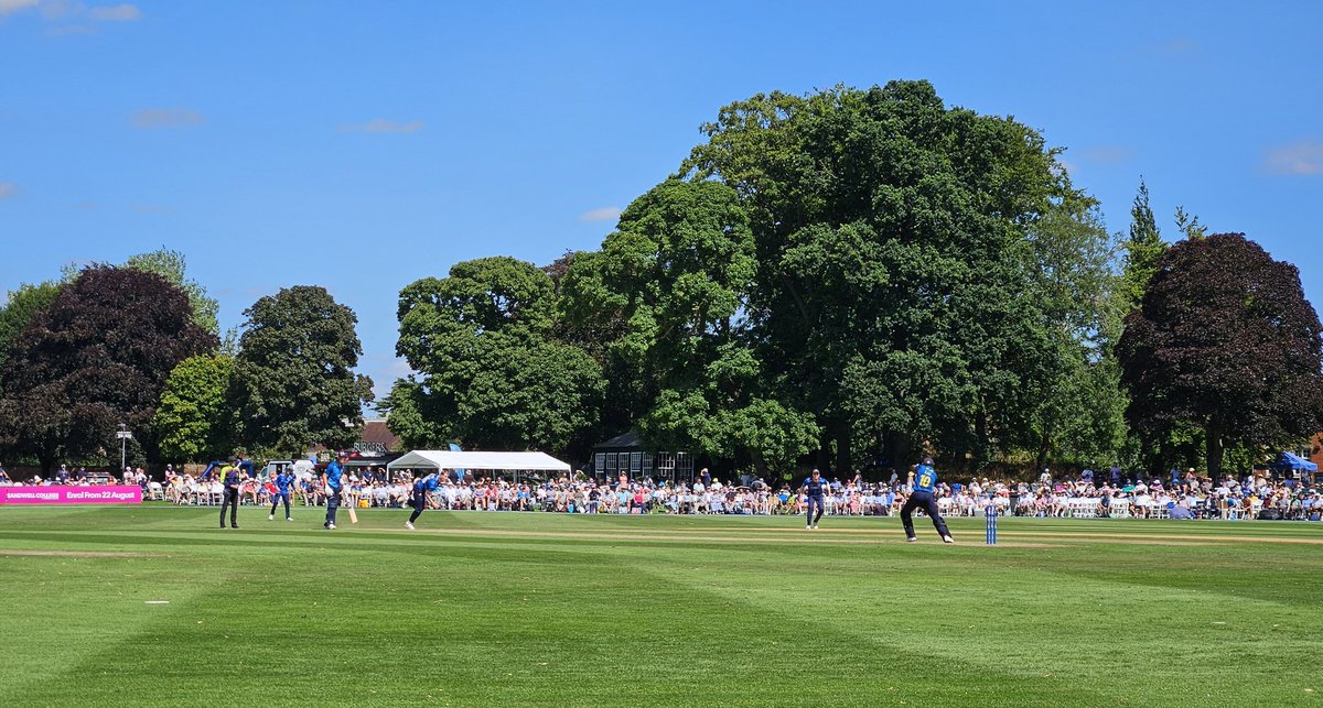 Adrian_Cricket's tweet photo. Lovely day @RugbySchool1567 Bears 231-8 after 48, is it enough?

#WARvYOR #youbears https://t.co/sxP9KJJmpz