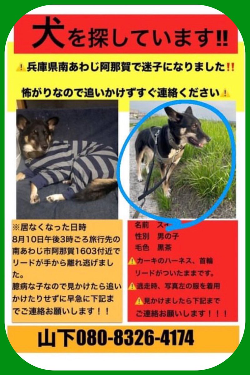 ddreedd's tweet photo. ご協力を宜しくお願いします。 https://t.co/a7IwFEPP1h