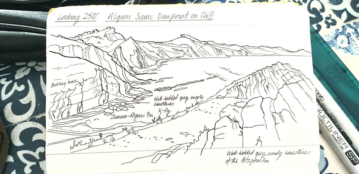 Matthew Genge tweet media