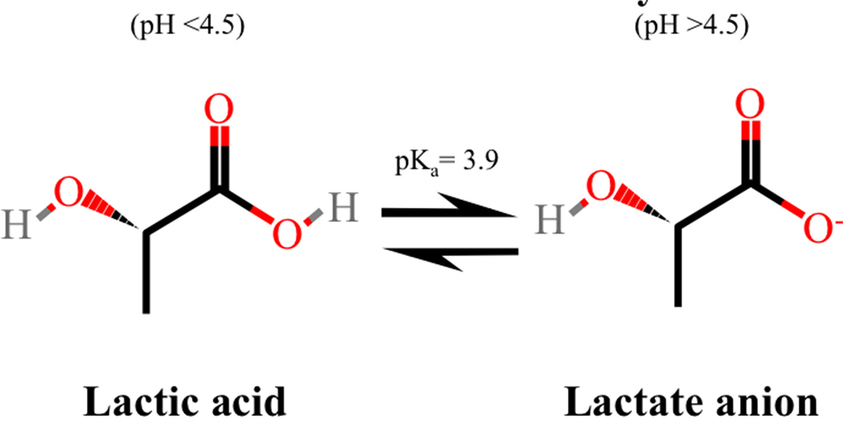 PratResina's tweet photo. @sciqst @PeterAttiaMD 1) All carboxylics at physiological pH are anions (we say pyruvate not pyruvic...etc)
2) Same as when drawing amino acids, it's prettier to draw it without a charge, even if inaccurate.
3) The correlation between lactate and muscle acidity it's easier to call it "acid". https://t.co/9Dyvl6Yug9