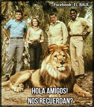 AndresGuzBJ's tweet photo. Como se llama el león? https://t.co/dyeDpHWArY