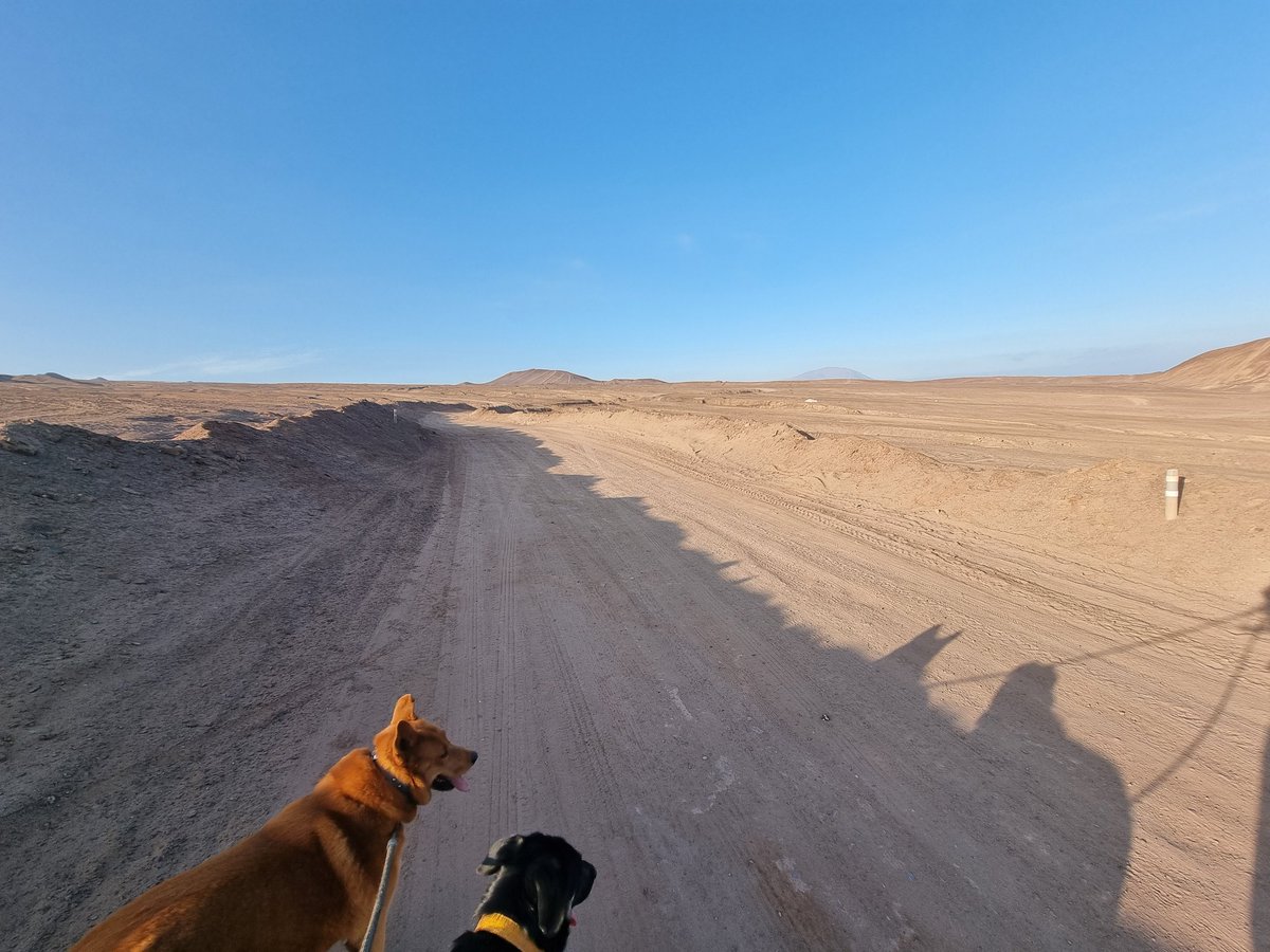 Chris Harrod tweet media