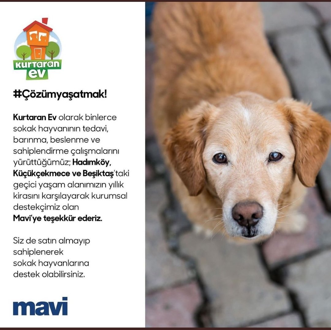 Bugün maviye gidip alışveriş yapıcam demek ki. Teşekkürler <a href="/mavi/">Mavi</a>