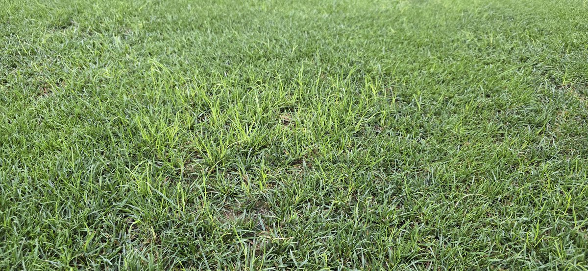 Bill Kreuser, PhD tweet media