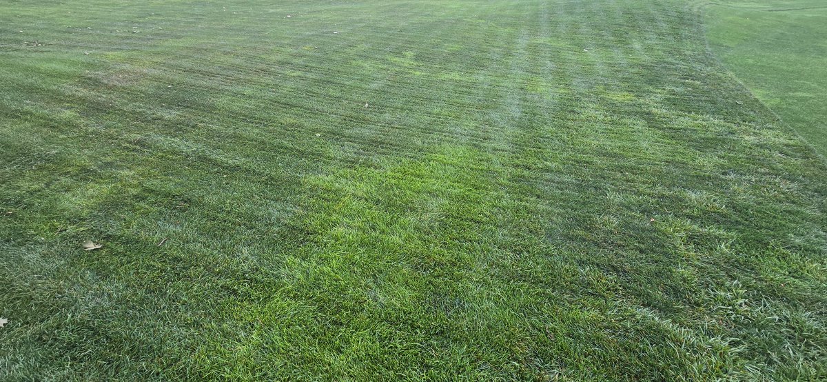 Bill Kreuser, PhD tweet media