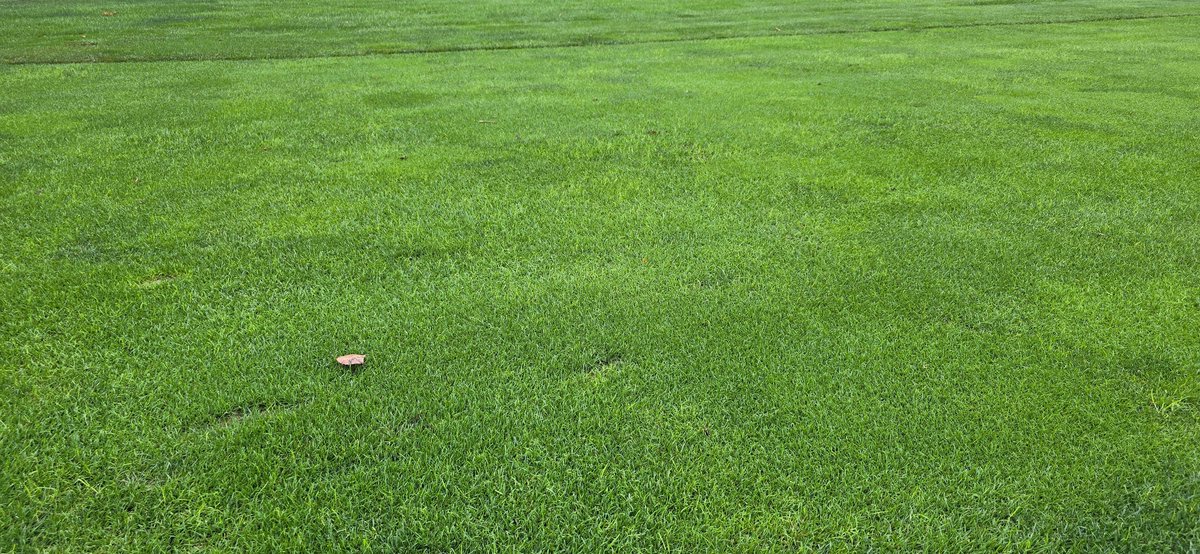 Bill Kreuser, PhD tweet media