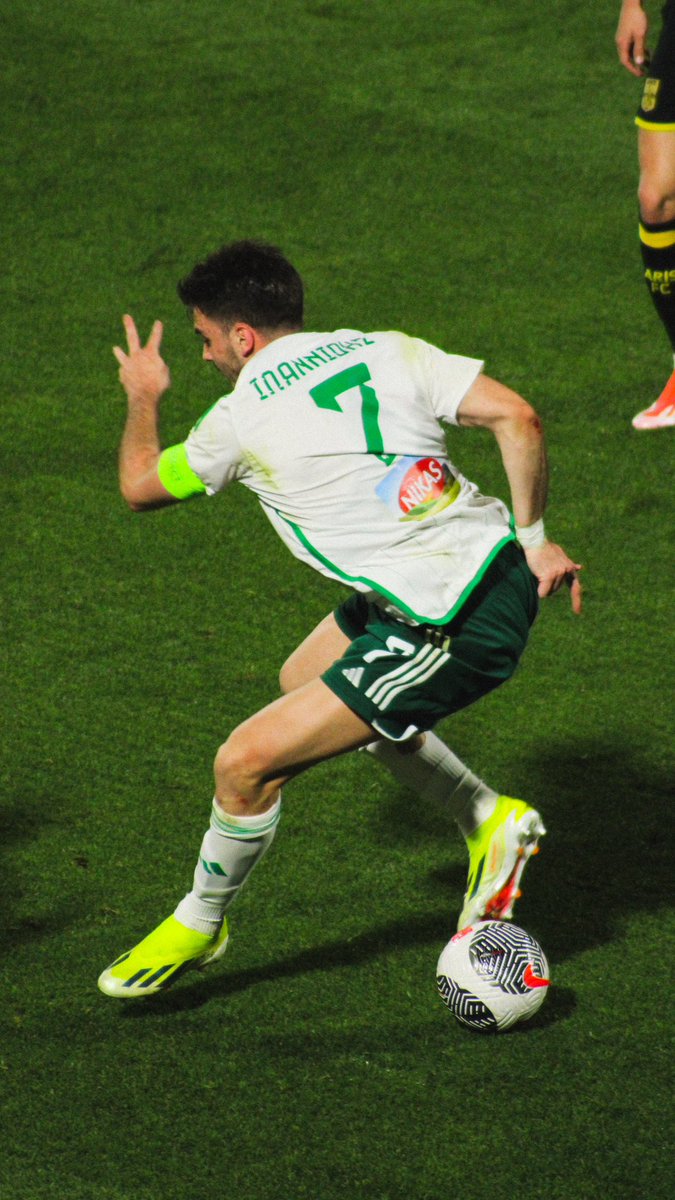 HELLENIC FOXES 🇬🇷 tweet media