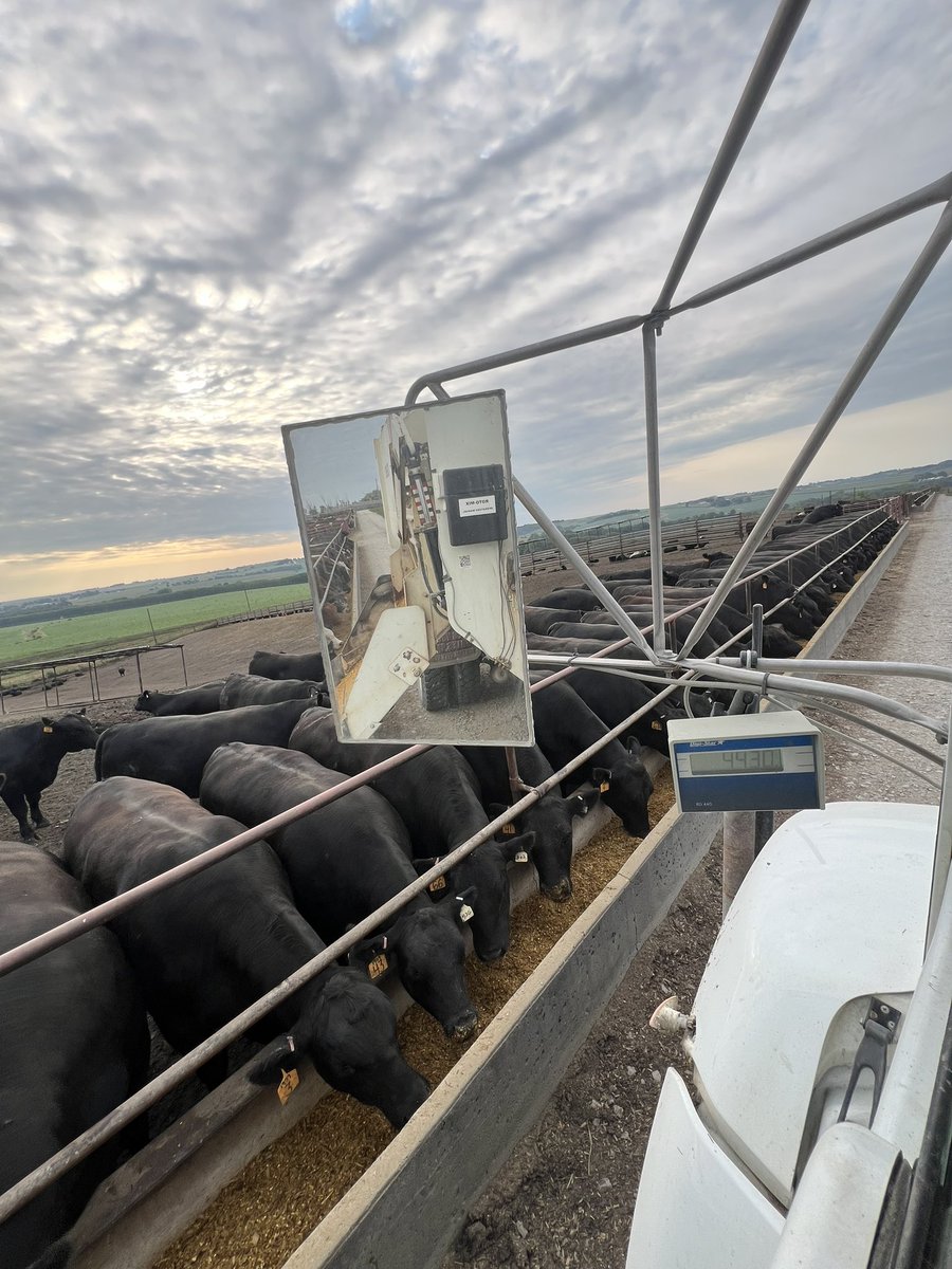 Ty Lauritsen tweet media