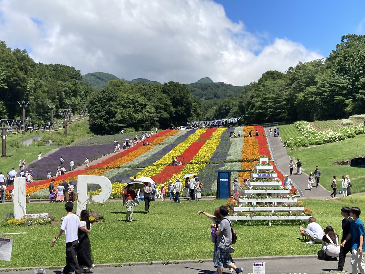 0218keitan's tweet photo. まるで、
パッワークの丘みたいでした

ふぅ〜っと深呼吸して
冷たい澄んだ空気を吸って

明日からまた仕事デス https://t.co/whNIManNXO