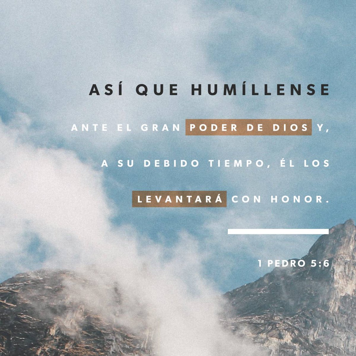 intensojose's tweet photo. https://t.co/WFuov3Prc5 https://t.co/VQCSsgFg7j