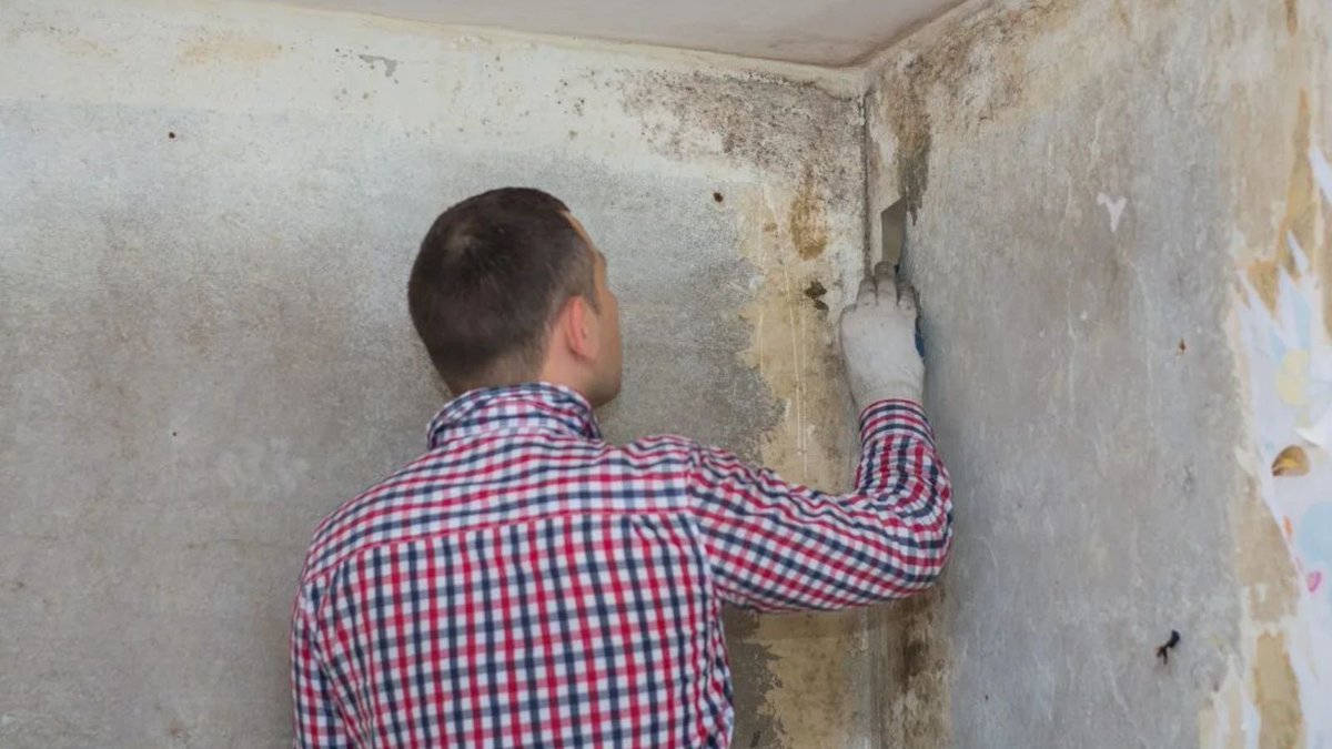 WATERRESTORATE's tweet image. Water damage restoration camas wa in the us

Water damage restoration in Camas, WA: reliable and swift recovery solutions across the US.

Link:- usawaterrestoration.com/water-damage-r…

#WaterDamage #CamasWA #Restoration #FloodRecovery #EmergencyServices #USawaterrestoration