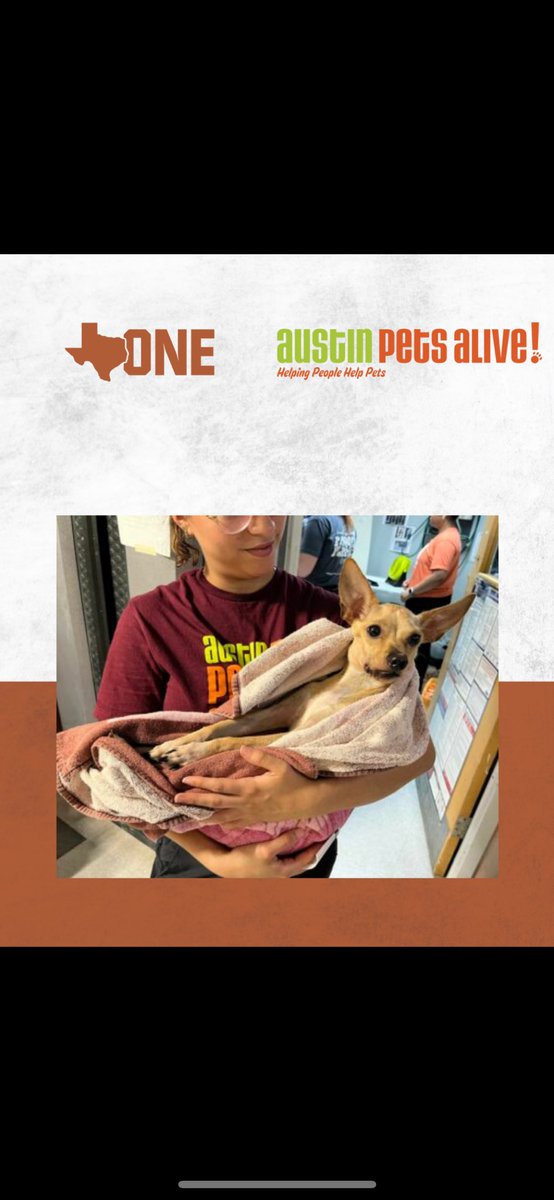Come by <a href="/austinpetsalive/">Austin Pets Alive!</a> tomorrow from 5-6pm to meet me and a few of my teammates while supporting these animals in need! To learn more about APA visit the link. bit.ly/3ylRk0Q