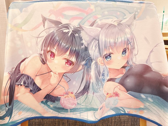 初のブルアカグッズですーーー!!やっと作れた!夏らしく水着のシロコちゃんとセリカちゃんを描きました!映ってないけどフードもばっちりついてますよ!タオルが前にくる部分にはホックをつけてもらいましたので、両手も空いて楽々!あと素材が面白いから是非触ってみて欲しい!! 