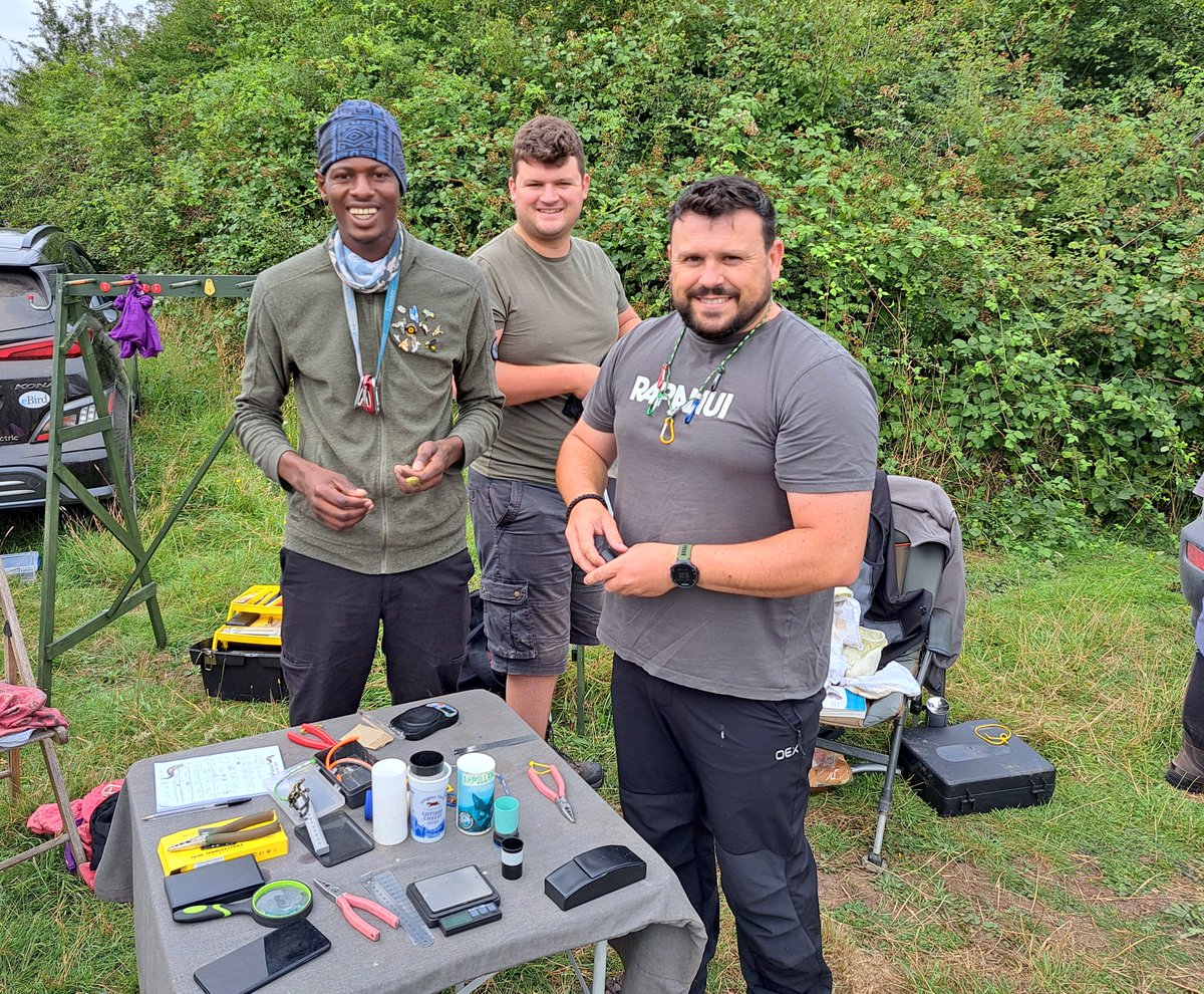 North Wilts RG on Salisbury Plain today joined by Emmanuel Jatta who would normally be ringing at the Kartong Bird Observatory in The Gambia. Emmanuel has spent 4 months ringing at Skokholm BO, Suffolk, Wales &amp; Scotland. He goes home with a fantastic scarred arm from by a Gannet!