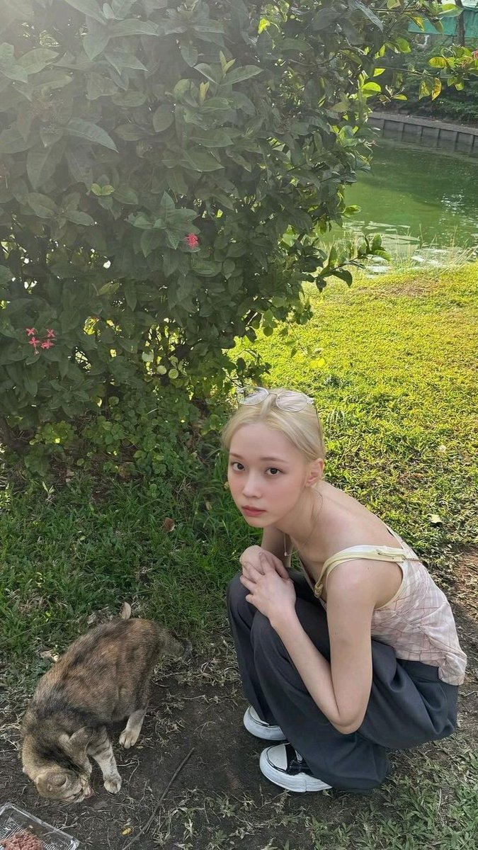 MJ. tweet media
