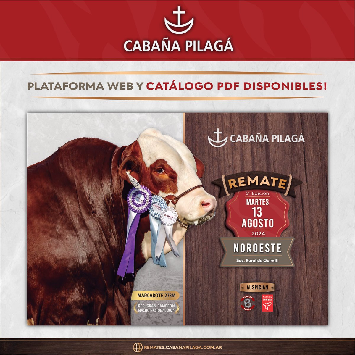 Cabaña Pilagá tweet media