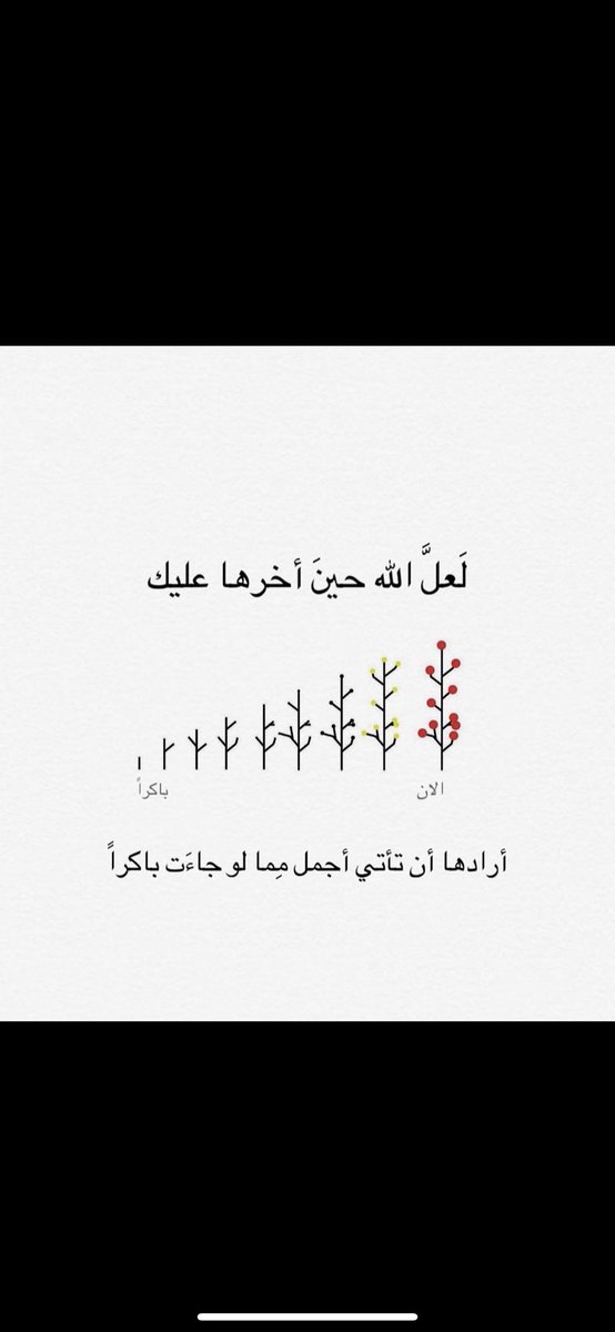 ryoof_8's tweet photo. 11/08/2024 🌱 https://t.co/OGEK8TnAmY