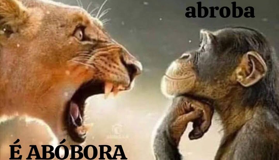 Mathockss's tweet image. 