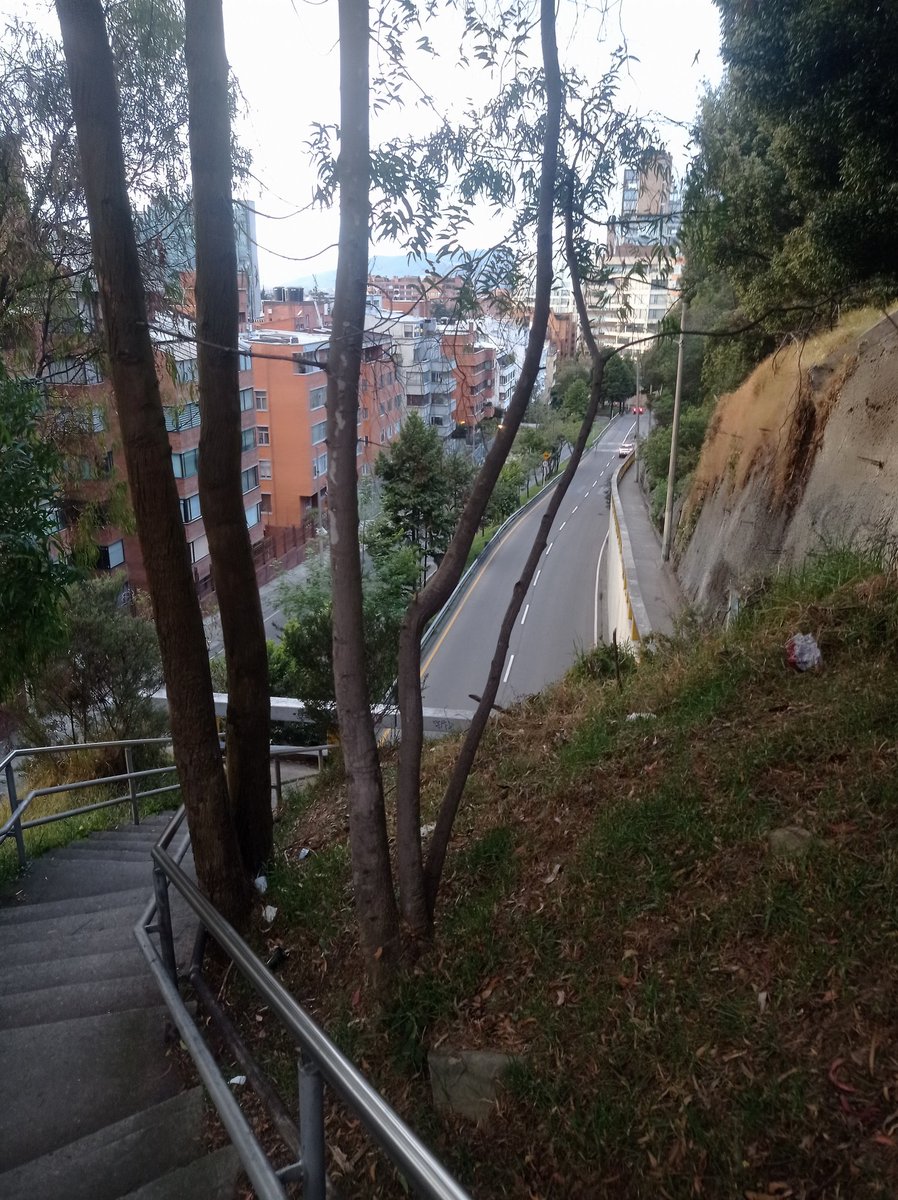 Caminos