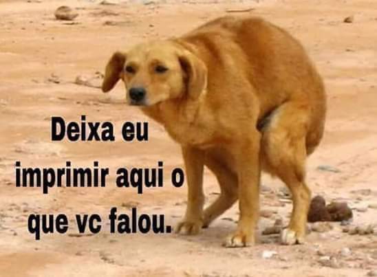 Alexandre Neto - Fizueli Dicumforça tweet media