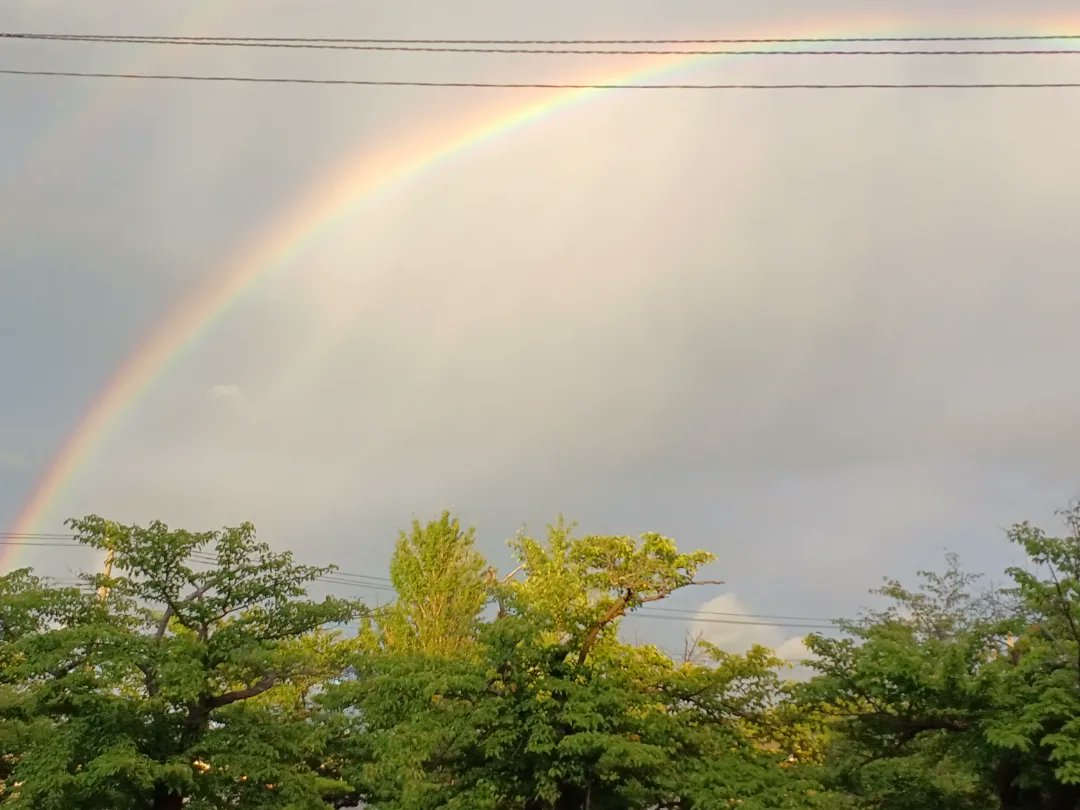 com11198338's tweet photo. ★8月12日営業いたします★

今日(8月11日)の夕方、#山形県酒田市 では
２本の虹🌈が綺麗なアーチを見せてくれました✨

明日(8月12日)は月曜日ですが
祝日のため営業いたします。
お気をつけてお越しください。

#明日は営業いたします　#祝日営業します  #虹  #ダイニングカフェクローバー https://t.co/IOyaqAzBcD