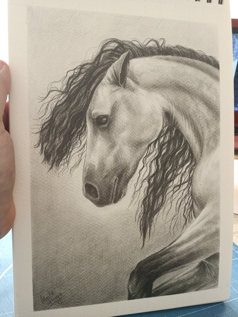 No sé si titularlo cabello Pantene o Caballo Pantene 🤣