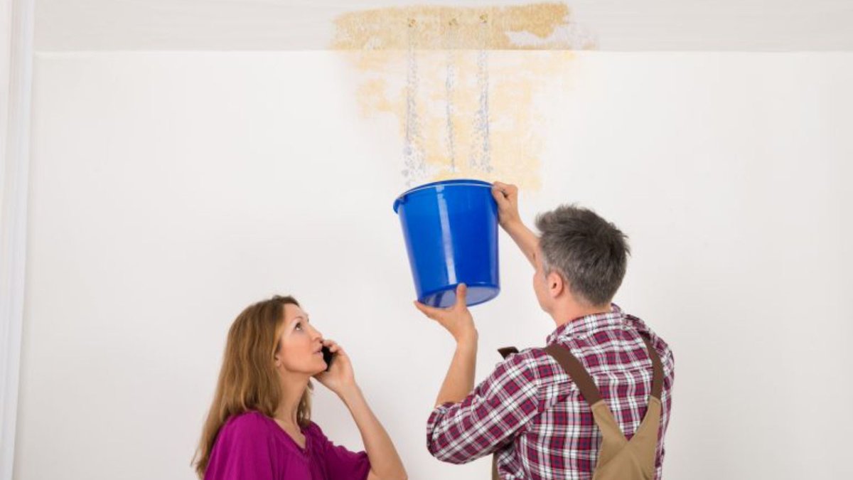 WATERRESTORATE's tweet image. water damage restoration Vancouver

Water damage restoration in Vancouver: fast and reliable solutions to restore your property efficiently.

Homepage:- usawaterrestoration.com/water-damage-r…

#Vancouver #WaterDamage #Restoration #FloodRecovery #EmergencyServices #Usawaterrestoration