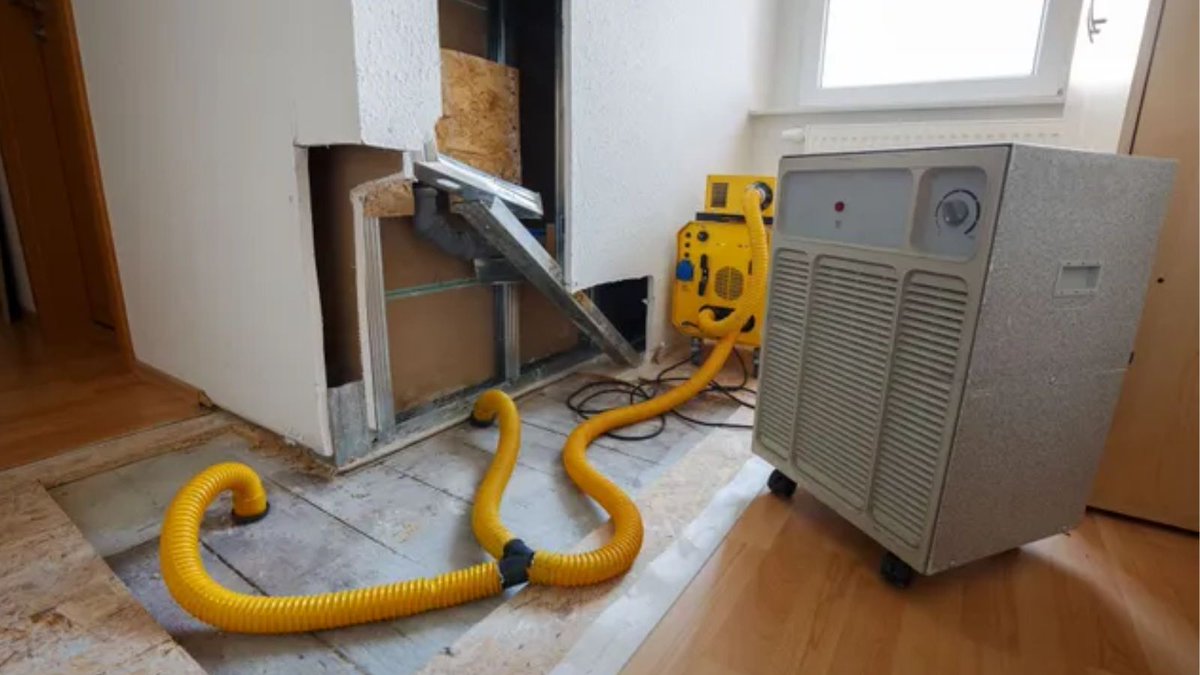 WATERRESTORATE's tweet image. Vancouver water damage restoration

Vancouver water damage restoration: fast, reliable service to restore your home and peace of mind.

Go here:- usawaterrestoration.com/water-damage-r…

#Vancouver #WaterDamage #Restoration #FloodRecovery #EmergencyServices #Usawaterrestoration