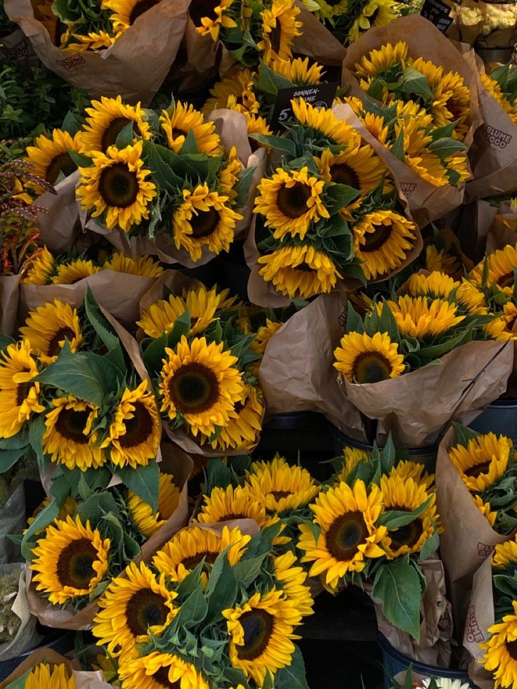 Sunflowertw0's tweet photo. Love💛 https://t.co/nxMYxJzIZq