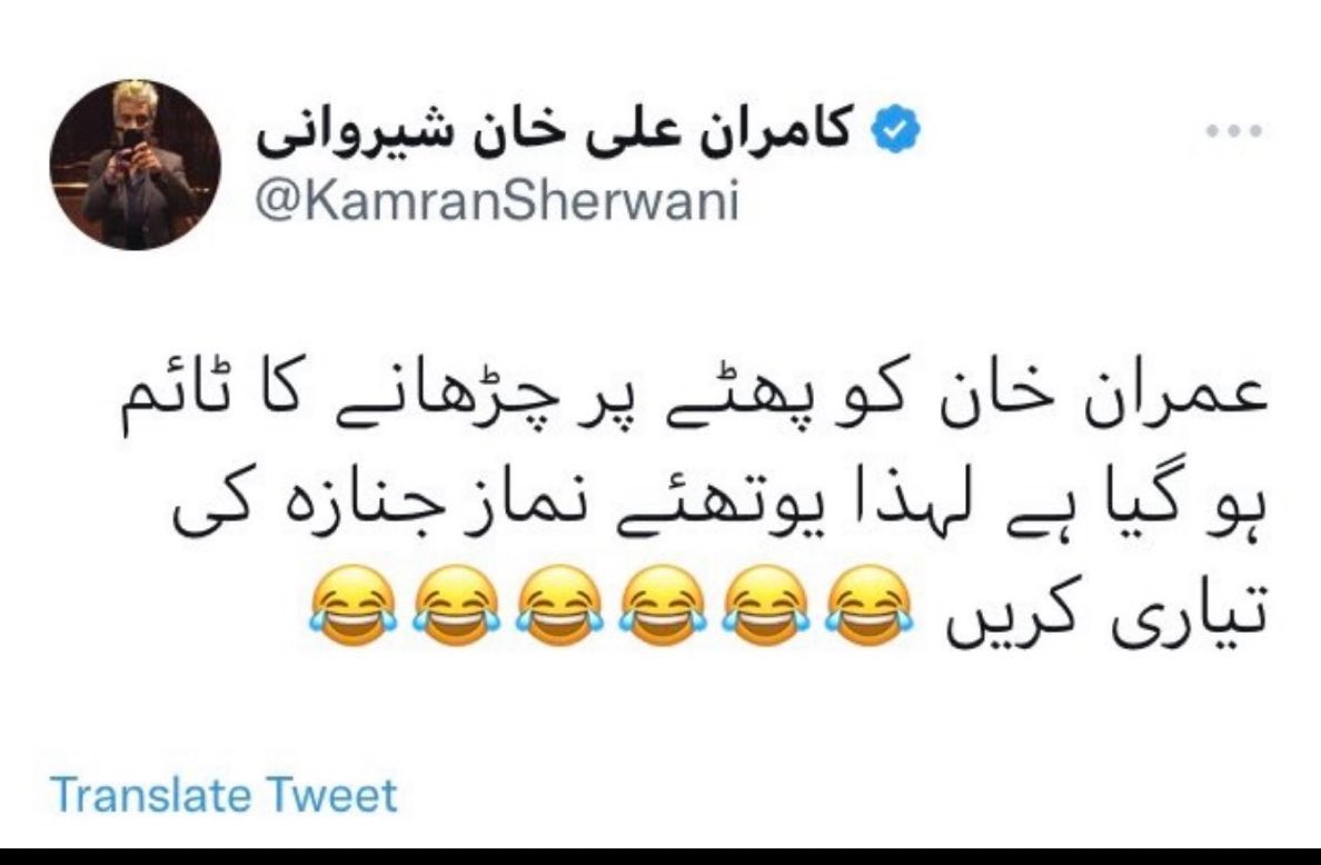 Afreen Bukhari 👁🗨 tweet media