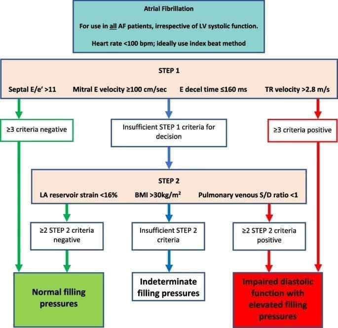 ZHeart11768530's tweet photo. 🔴LV diastolic function Assessment In the presence of Atrial Fibrillation

🔹Nice step-wise algorithm at the @BSEcho #Guidelines about LV Diastolic Function: https://t.co/q4kY68r5Yh

🔹Read this blog: https://t.co/DTXSlU70gh
 #EchoFirst #Afib #DiastolicFunction  #medicine https://t.co/A3XZJbHdqc