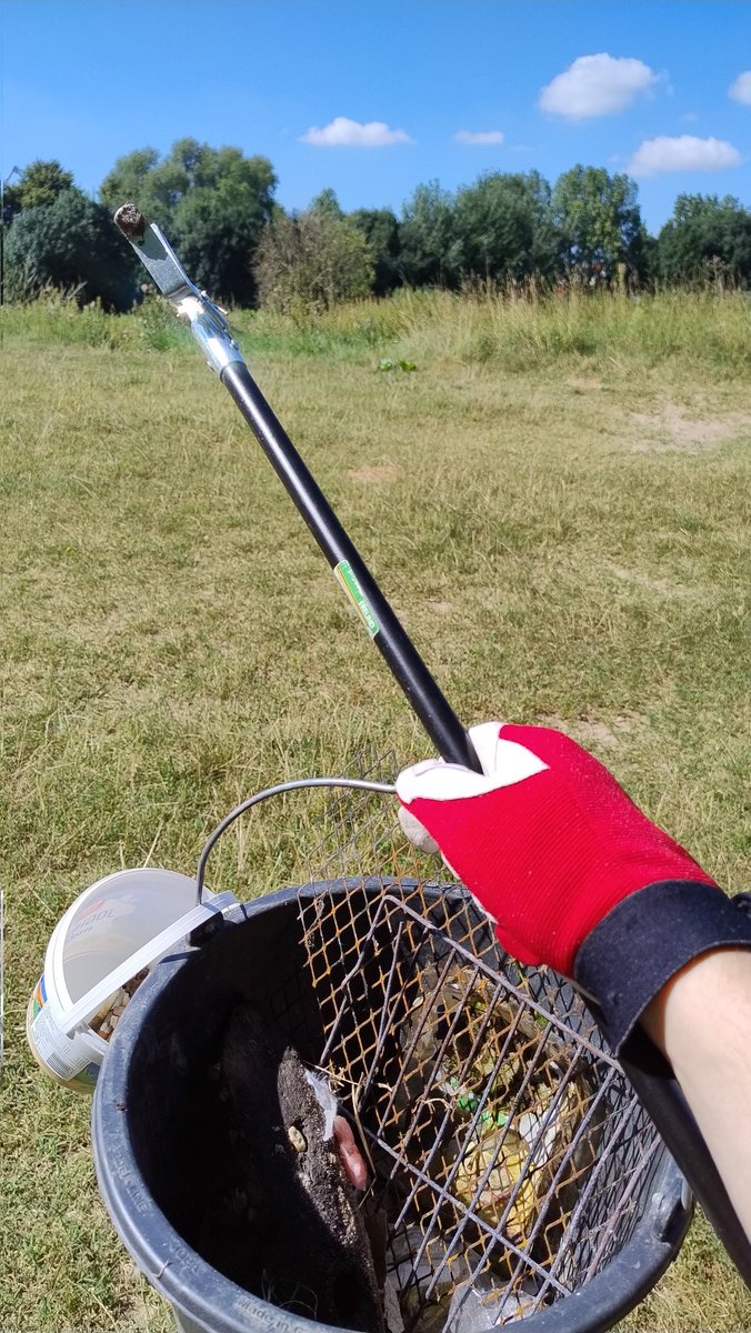 Damian Thater tweet media