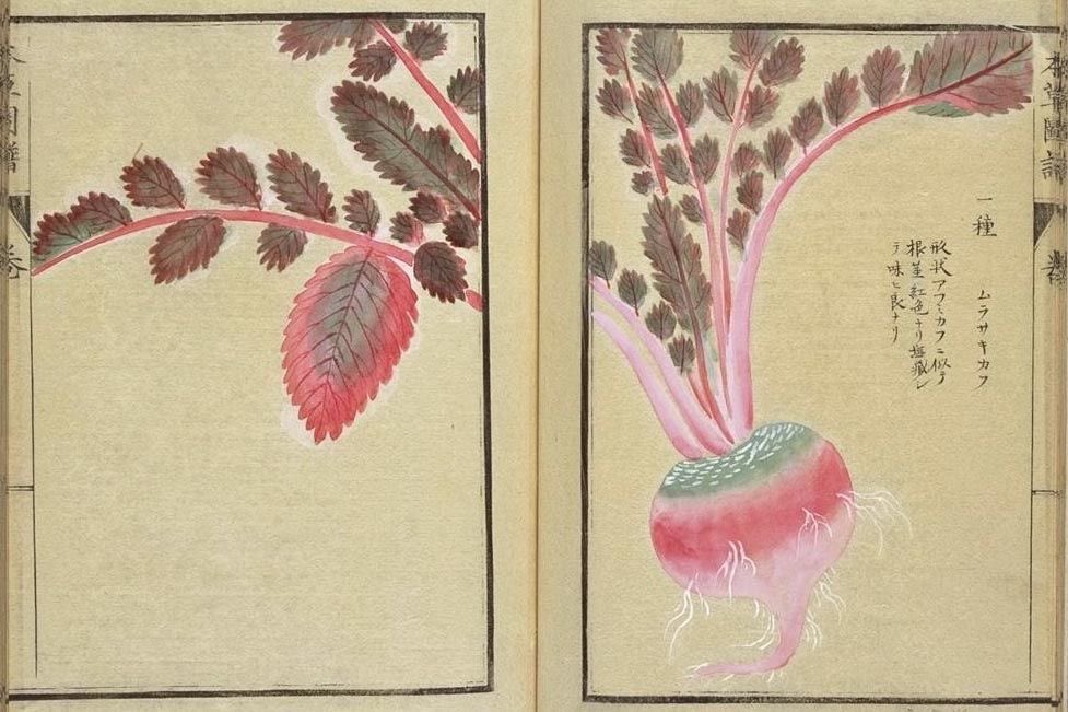 ِ (@controdicting) on Twitter photo 