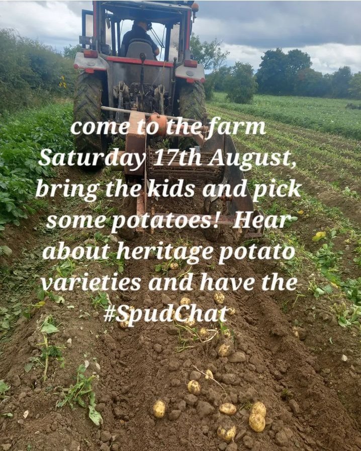 BallymakennyF's tweet photo. Thank You @AlisonTodayFM for the #SpudChat today on your show. We were chuffed.. https://t.co/YpWGyF2RtF