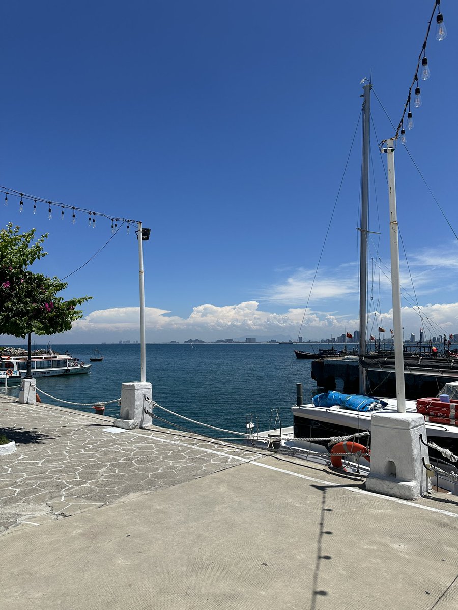 wildatheart6's tweet photo. views⛴️🌺 https://t.co/UAH8TLTLiA