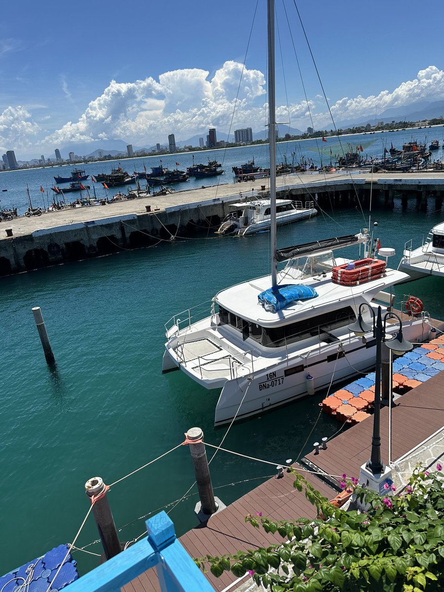 wildatheart6's tweet photo. views⛴️🌺 https://t.co/UAH8TLTLiA