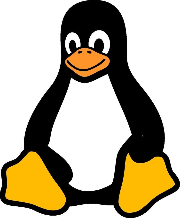 PirateMaal's tweet photo. If someone happens to have a sticker of this guy, bring it over to Packet Hacking Village today before we close. I'll be hanging out over at Packet Inspector/Packet Detective and may have goodies as a thank you. It's really important and I will be ever thankful #Defcon #defcon32 https://t.co/skNTe3mv03