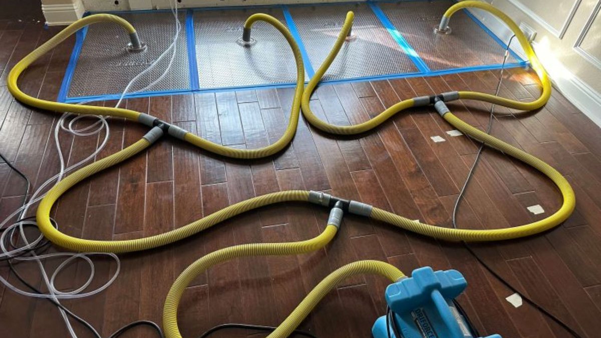 WATERRESTORATE's tweet image. water damage restoration service in Vancouver

Water damage restoration service in Vancouver: expert solutions for quick and effective property recovery.

Website:- usawaterrestoration.com/water-damage-r…

#WaterDamage #Vancouver #RestorationService #FloodRecovery #Usawaterrestoration