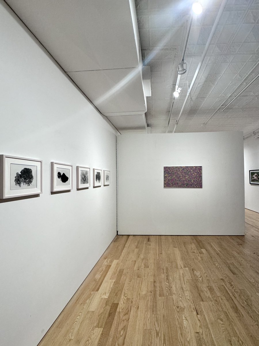 Artifact Projects tweet media