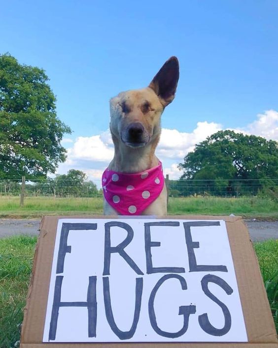 this baby deserves the biggest hug ever