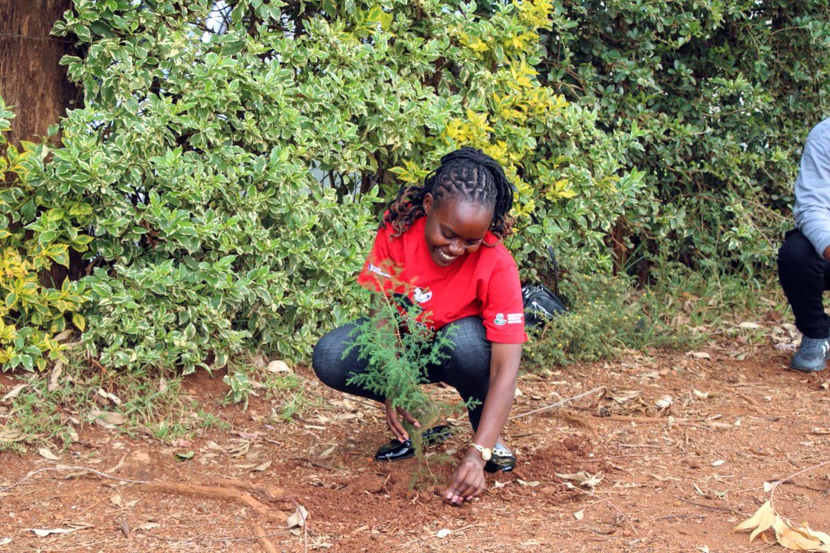 ItiswellCBO's tweet photo. Growing Together! 🌳

It was an inspiring day as we joined forces with local partners to plant 200 trees at Jogoo Comprehensive Primary School. This initiative is a powerful step in our ongoing fight against climate change. https://t.co/L8jowu0Cy9