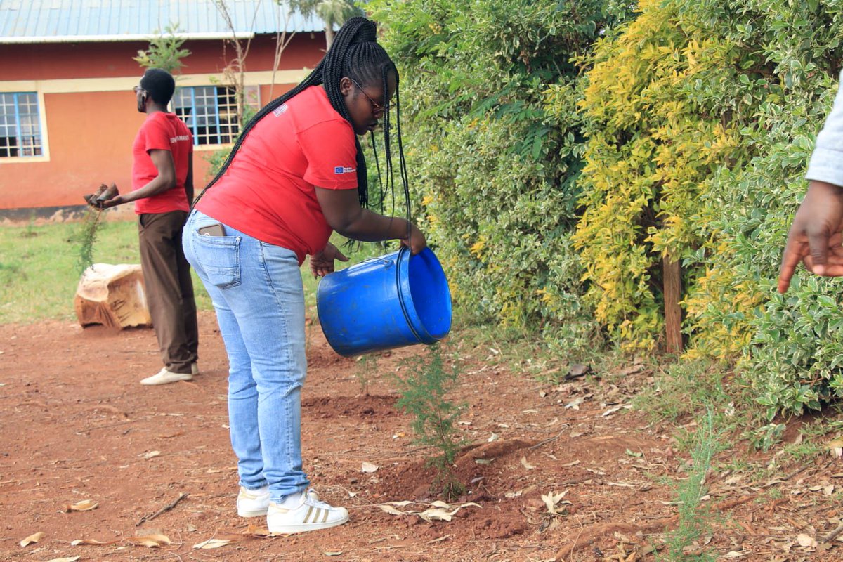 ItiswellCBO's tweet photo. Growing Together! 🌳

It was an inspiring day as we joined forces with local partners to plant 200 trees at Jogoo Comprehensive Primary School. This initiative is a powerful step in our ongoing fight against climate change. https://t.co/L8jowu0Cy9