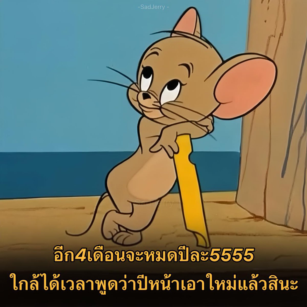 55555555