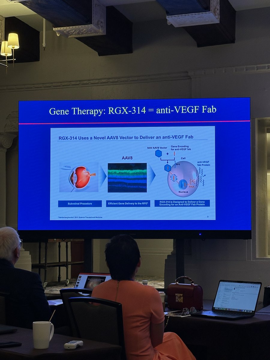 RetinaToday's tweet photo. Novel therapeutics for AMD are on the horizon to preserve vision and reduce treatment burden! Jennifer I. Lim, MD, brings attendees up to speed on recent research in this area. #AVTT2024 #retina #YMDC @YoungMDConnect https://t.co/V3llIoLYR4